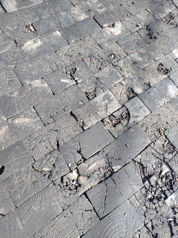 Discovering Hessler Court: Cleveland’s Unique Wooden Road