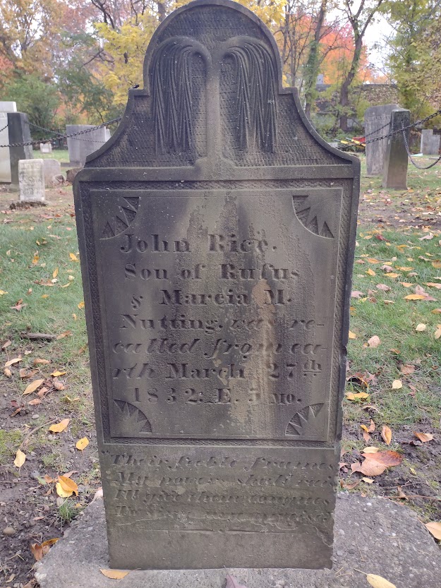 Weeping willow tree on a headstone from the Old Hudson Township Burying Ground