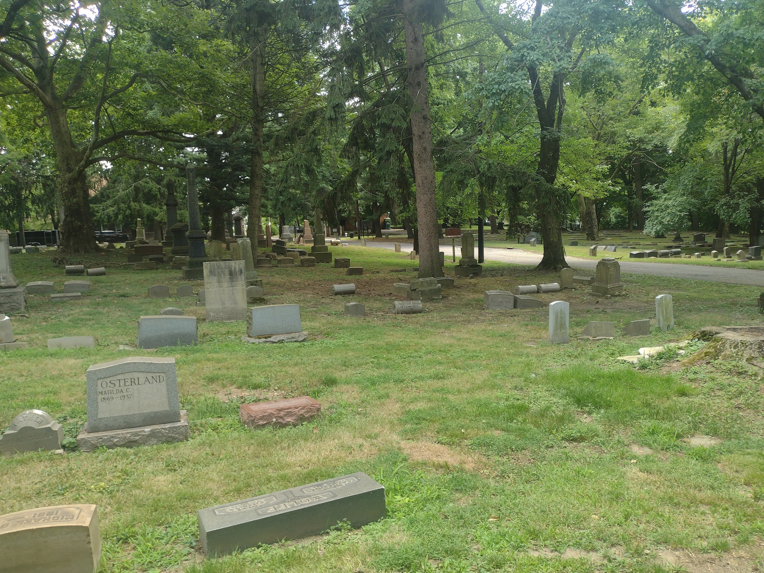 Cemetery or Graveyard? A Quick Guide to Cemetery Lingo